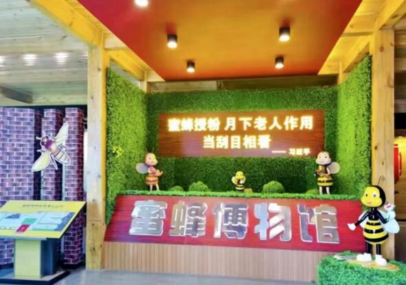 乡村振兴看 阳曲东黄水镇“乡村振兴杯”运动会令人振奋——运动项目添活力，乡村经营谱新篇