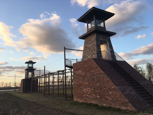 连云港徐圩新区运动项目经营 产业融合与区域发展的新引擎